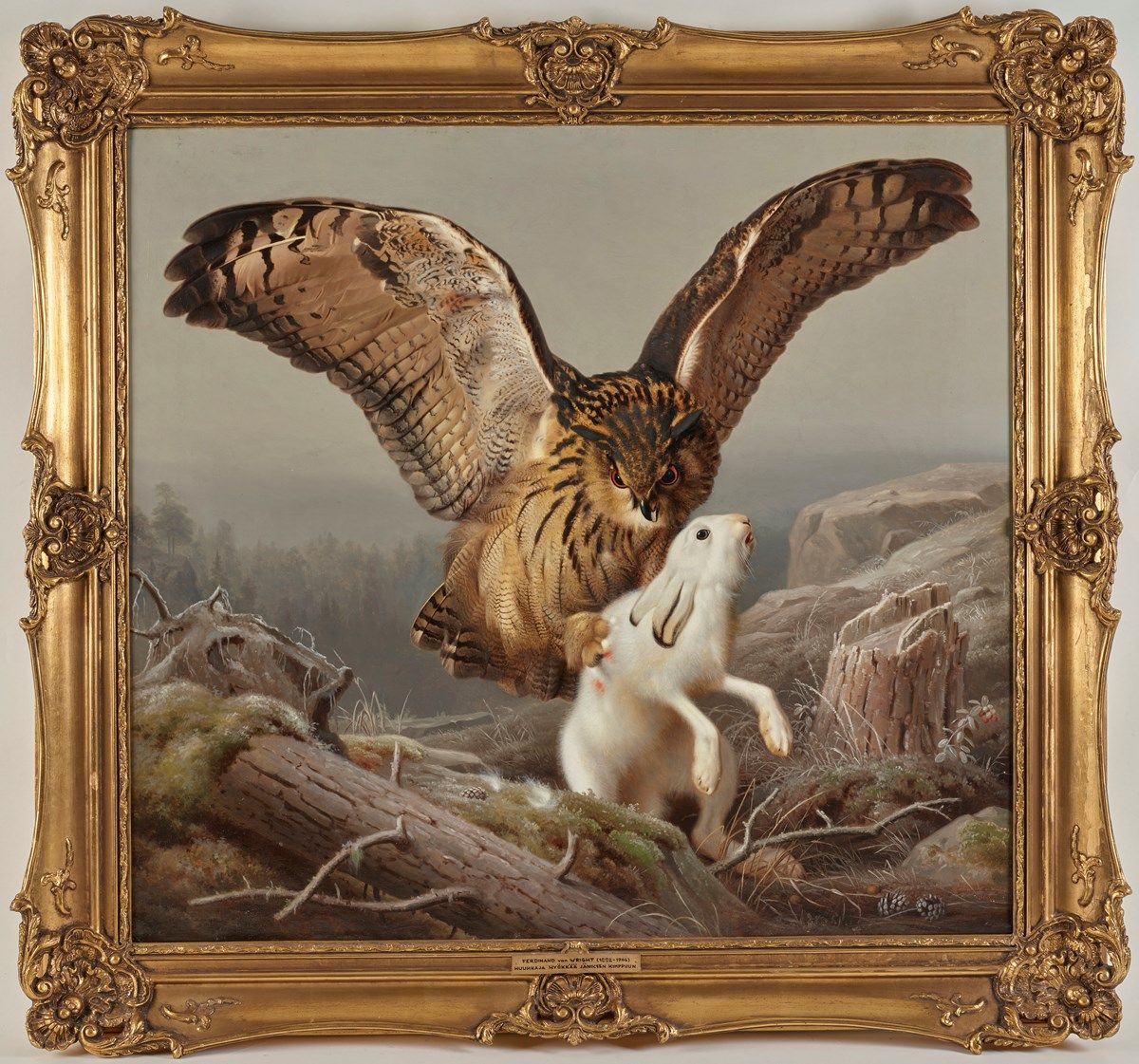 Object Image