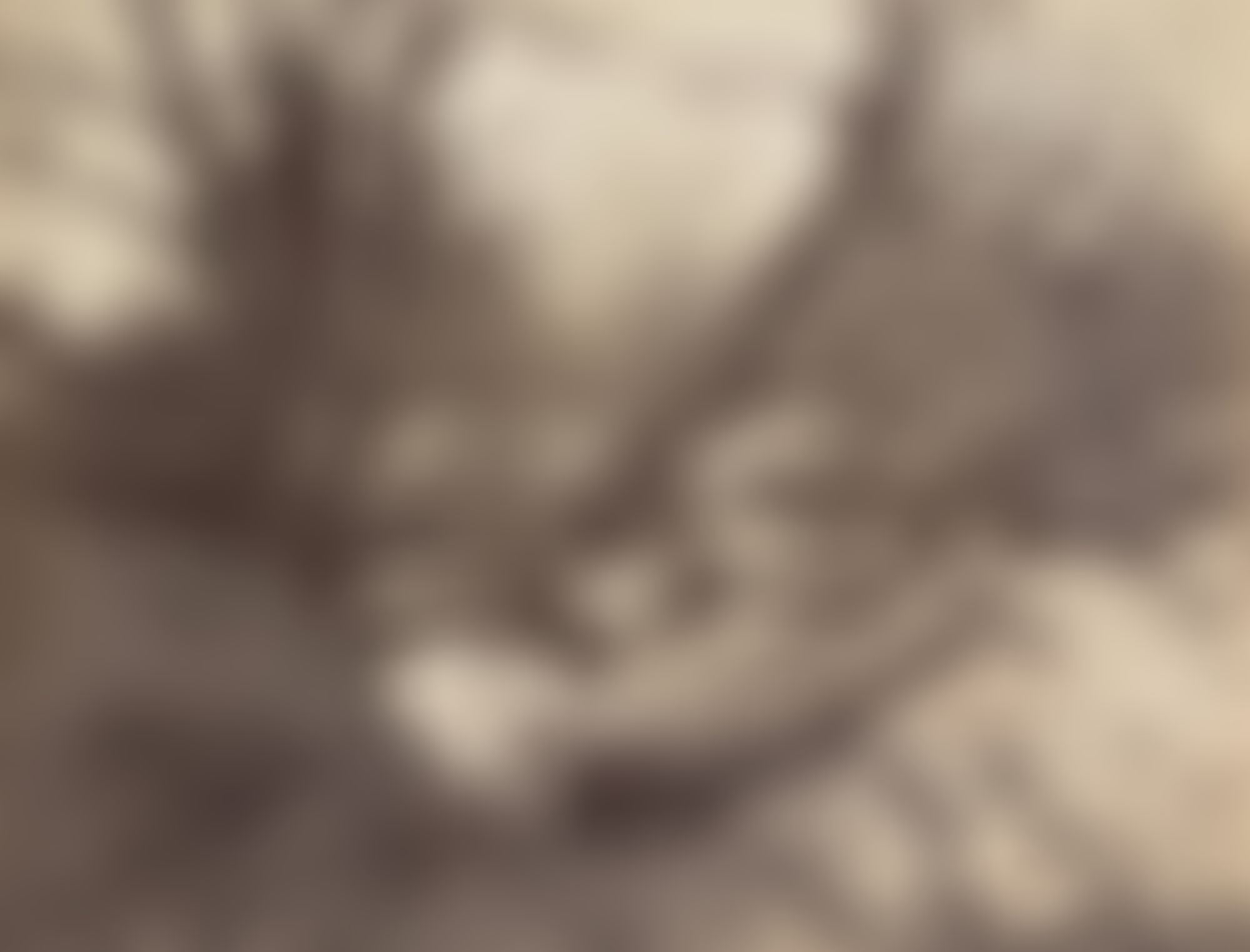 Object Image