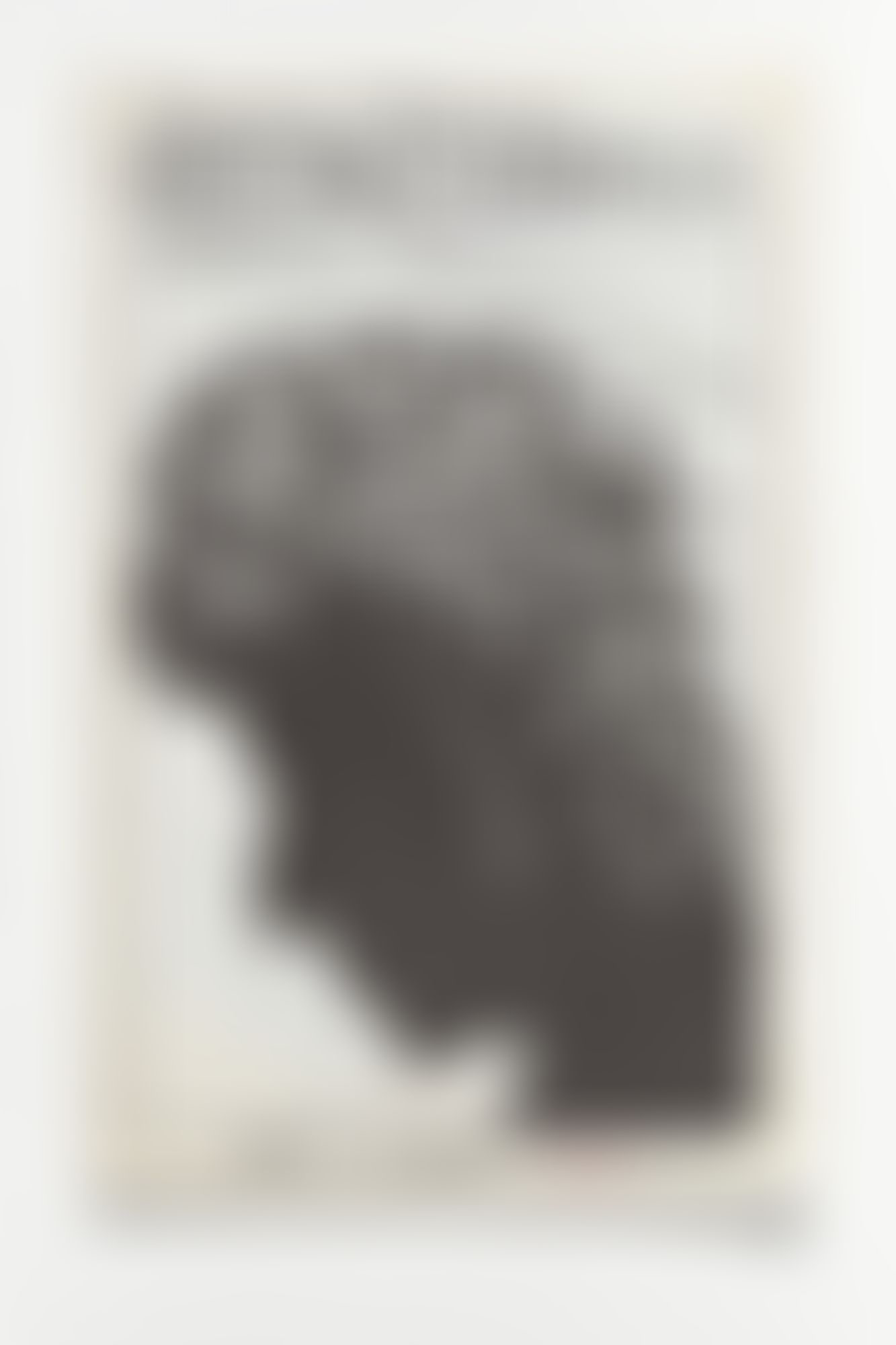 Object Image