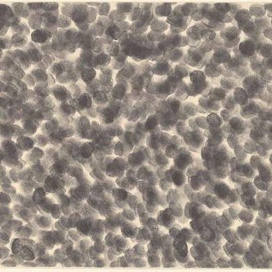 Fingerprint Drawing