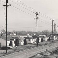 Robert Adams