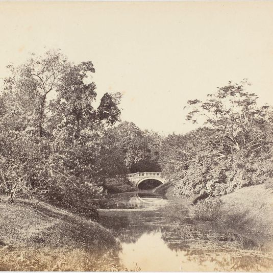 [Botanical Gardens, Calcutta]