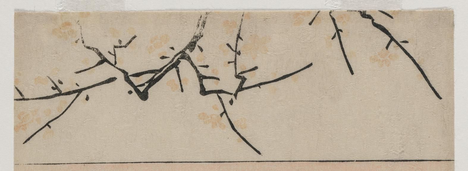 Iwai Hanshirō IV as a Woman with a Sword