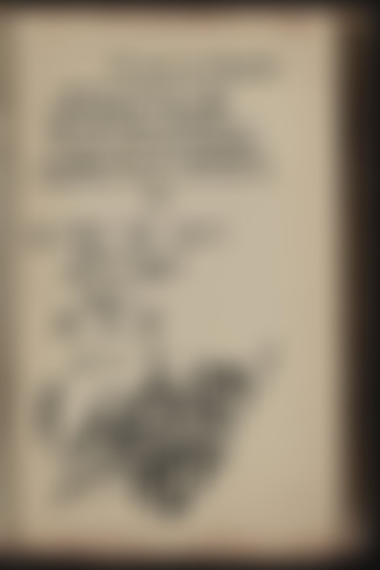 Object Image