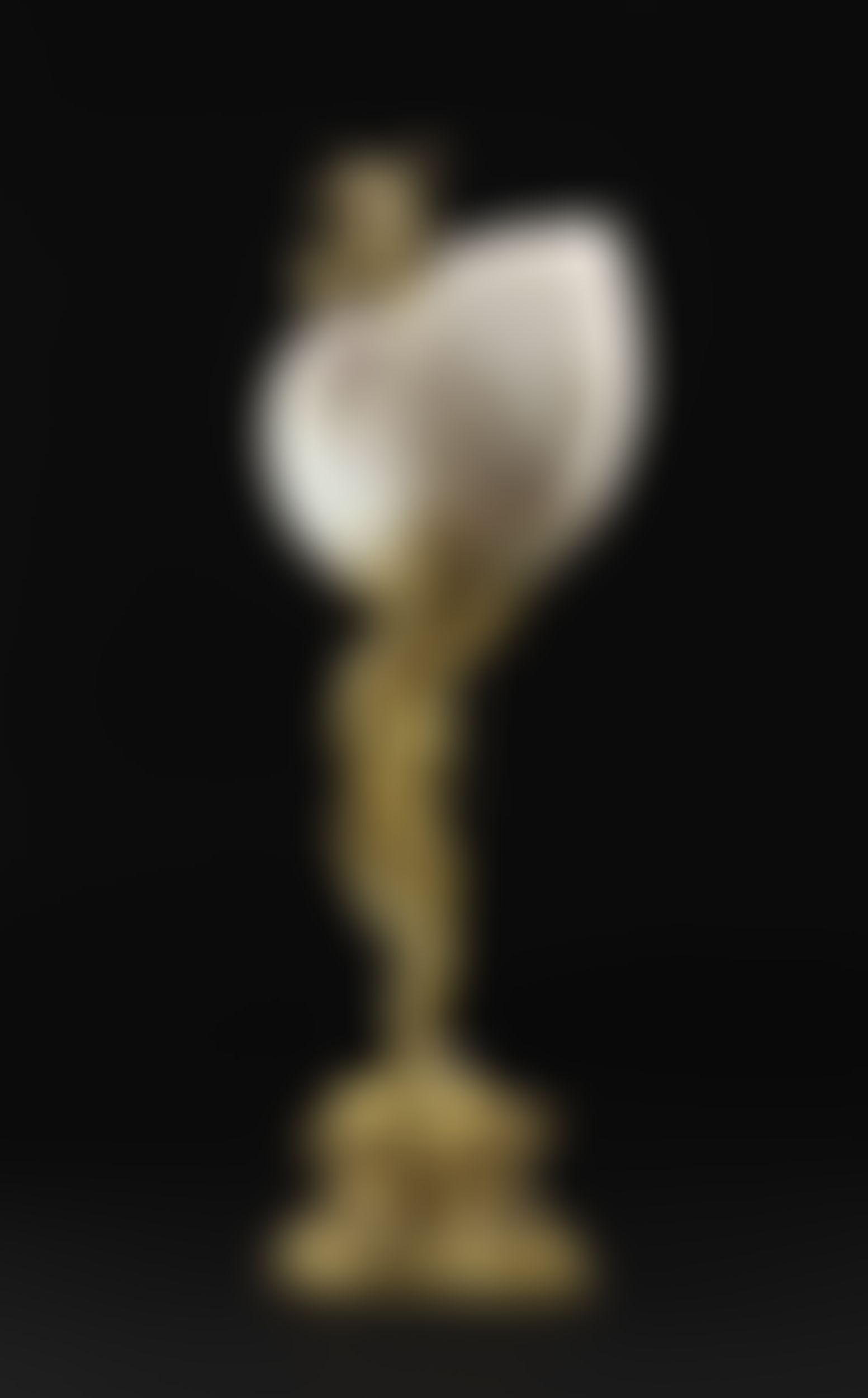 Object Image