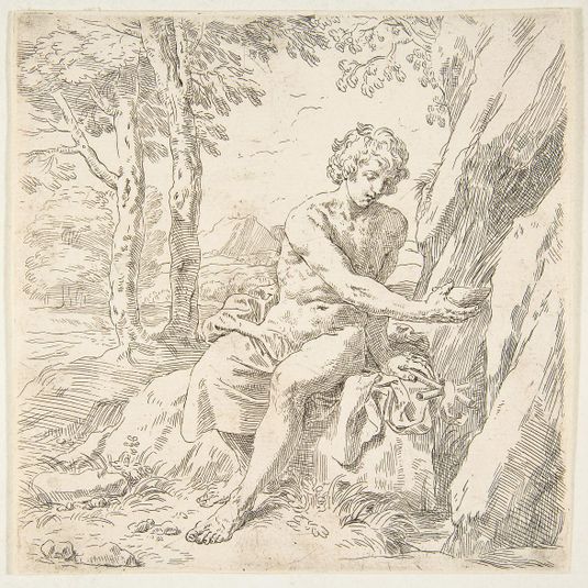 Saint John the Baptist in the desert