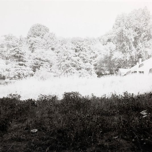 Untitled, from Seattle Portfolio