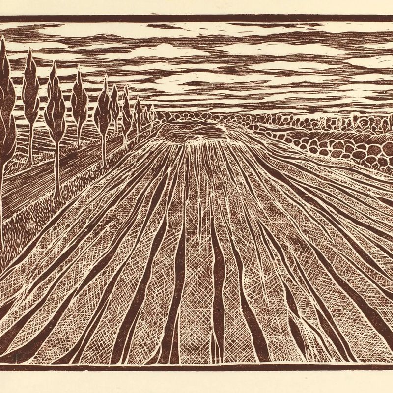 A Far Horizon