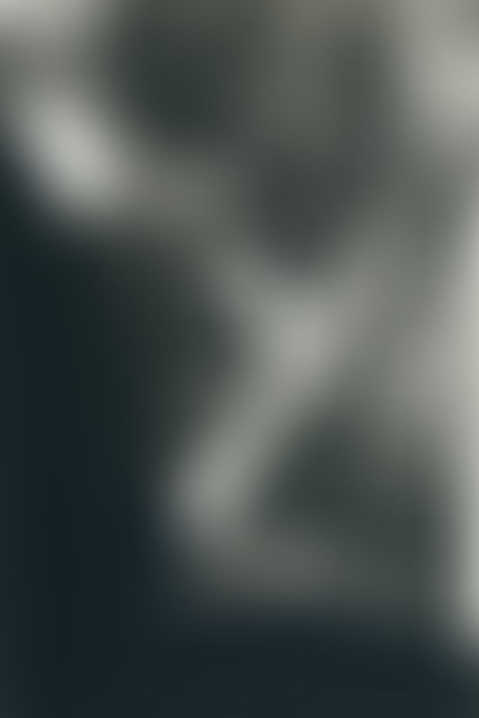Object Image