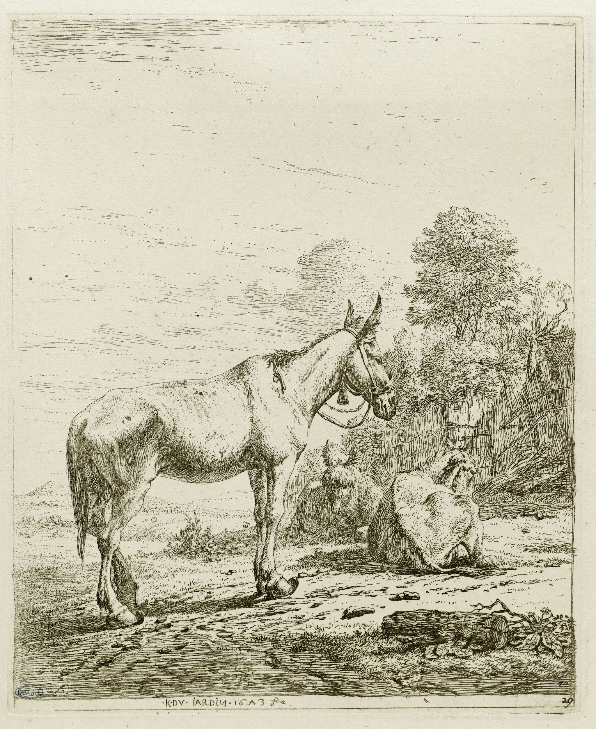 Object Image