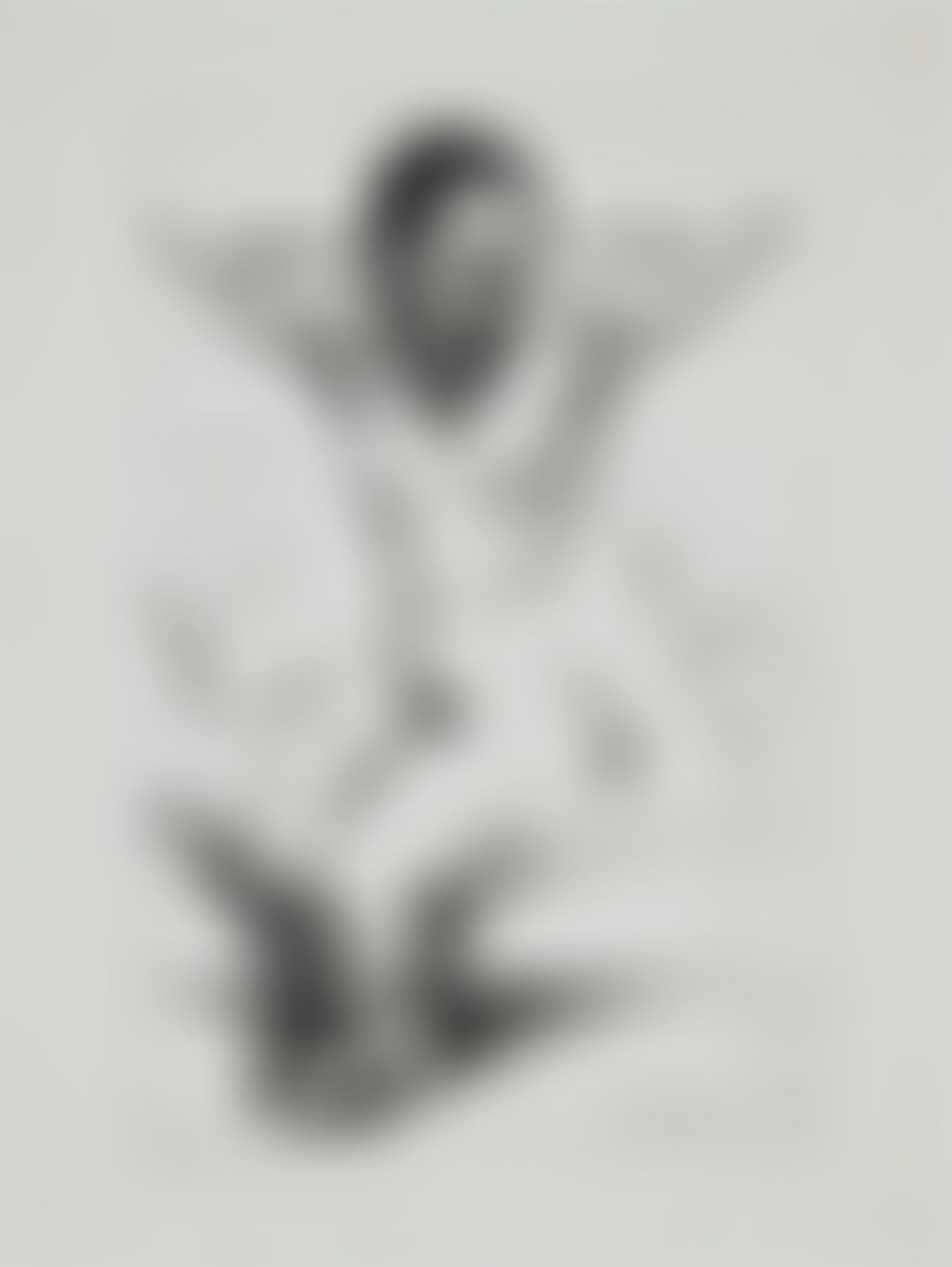 Object Image