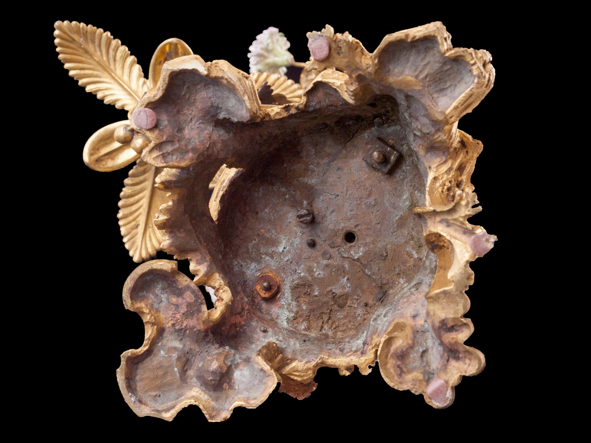 Object Image
