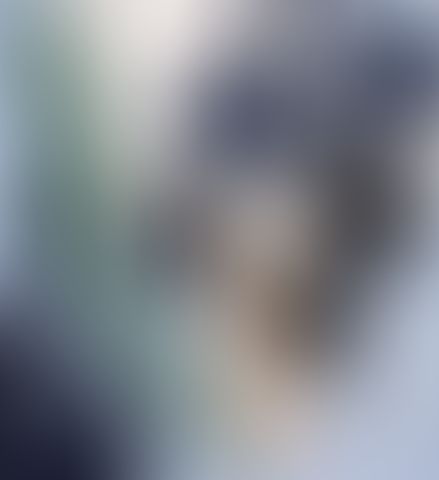 Object Image
