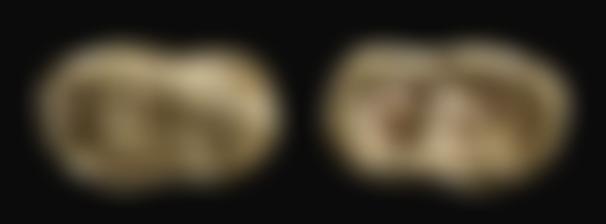 Object Image