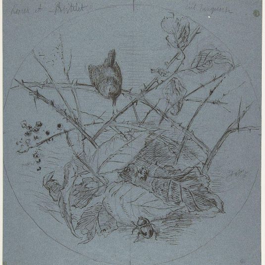 Design for a Plate