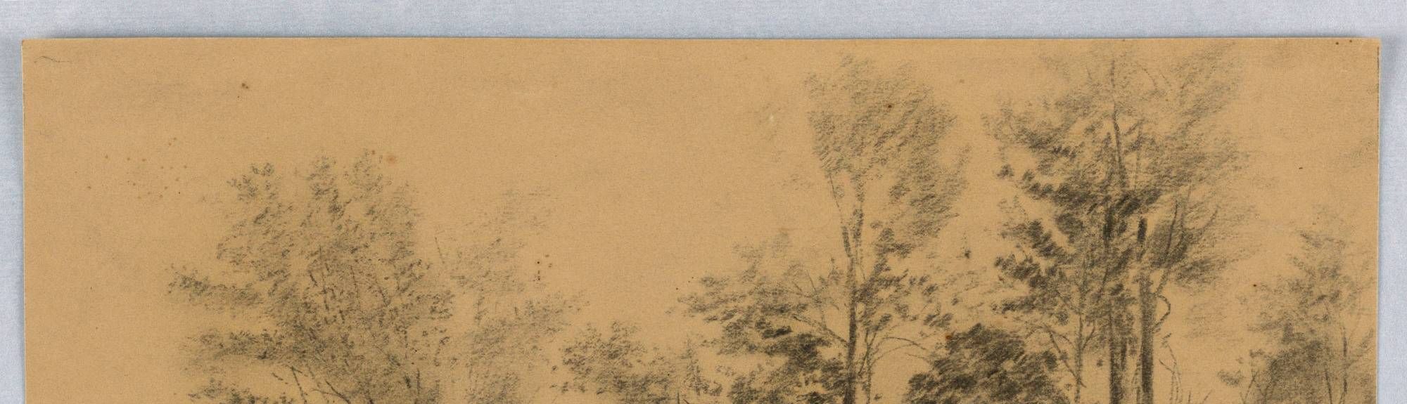 Cliff and Trees, Vicksburg, Miss.