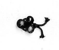 Object Image