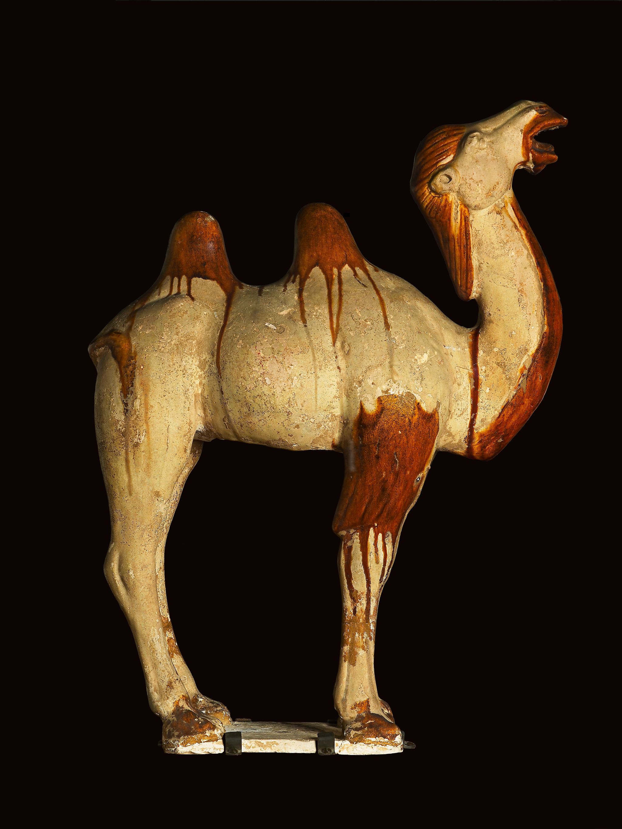 Object Image