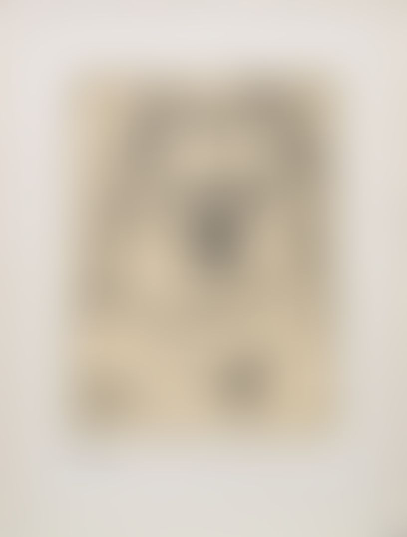 Object Image