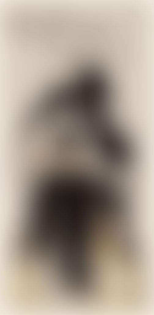 Object Image