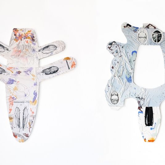 Morphing Memory by Bianca Barandunand The Ingram Prize 2021