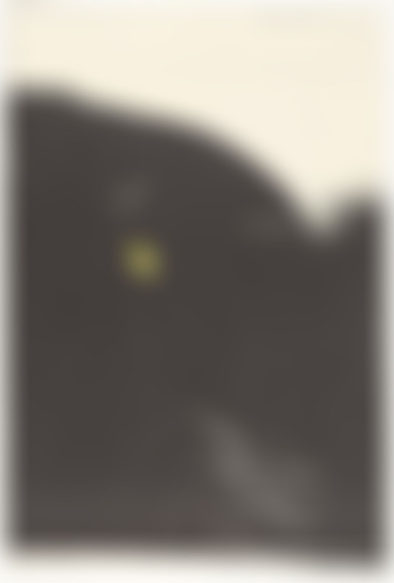 Object Image
