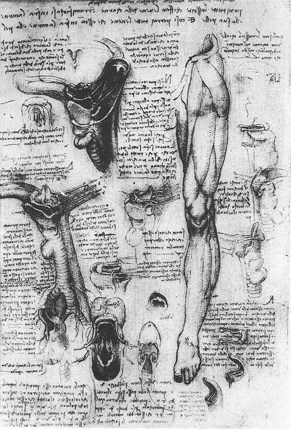 Object Image