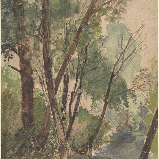 Trees Beside a Pond