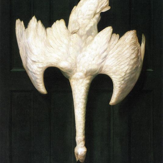 The Trumpeter Swan