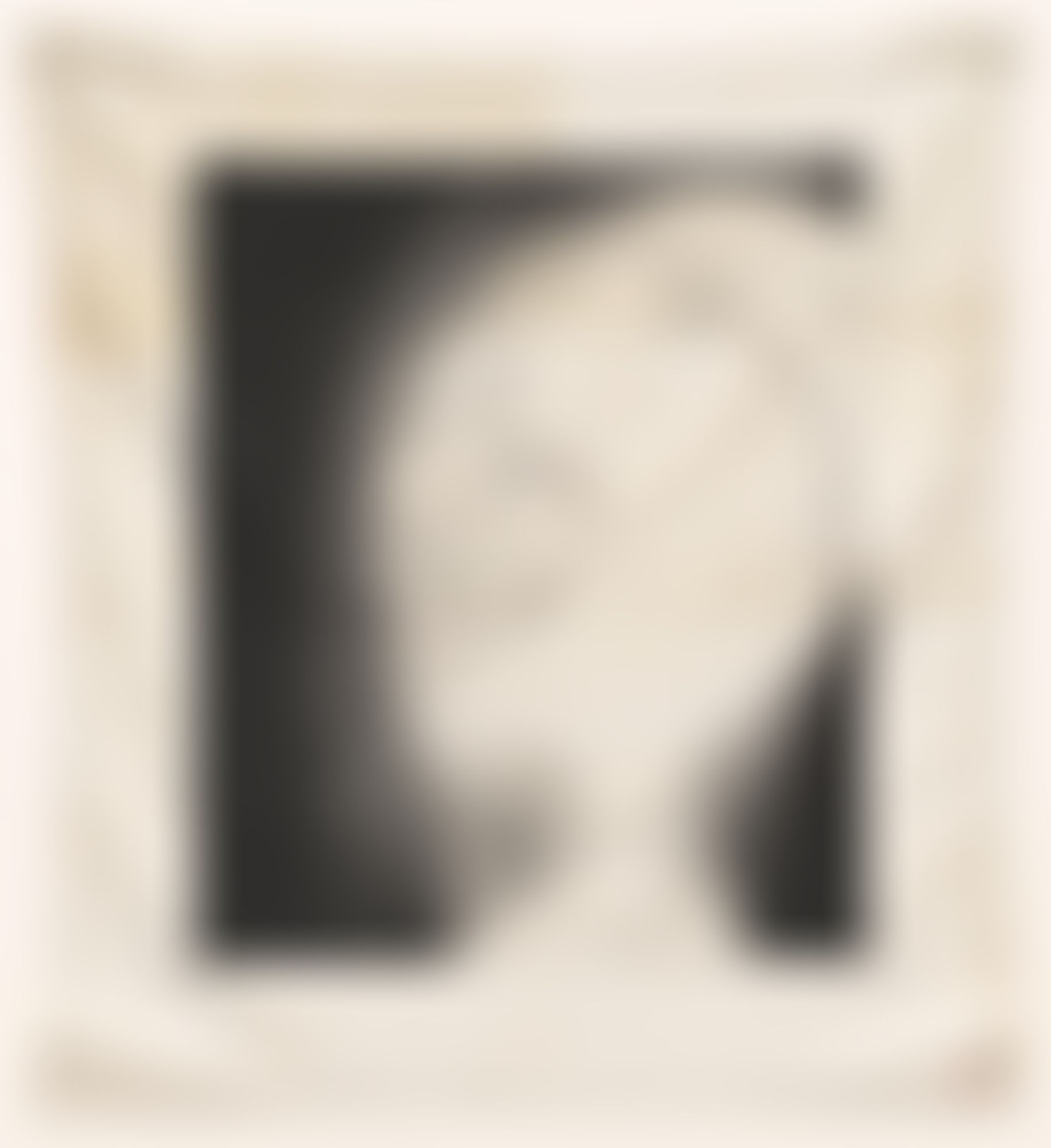 Object Image