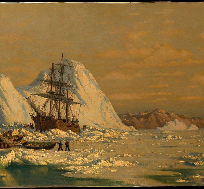 An Incident of Whaling