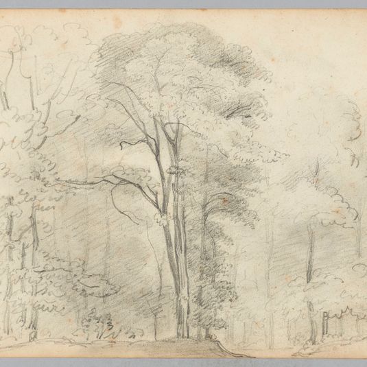 Paysage de forêt, Fonds d’archives graphiques de Maurice Leloir