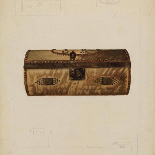 Hide Covered Trunk