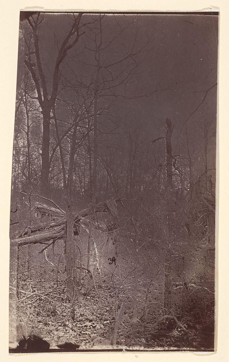 Object Image
