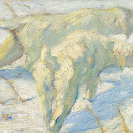 Siberian Dogs in the Snow