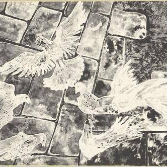 Pigeons on Cobblestone