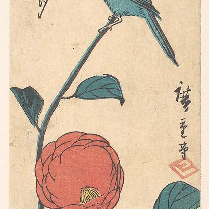 Camellia and Finch