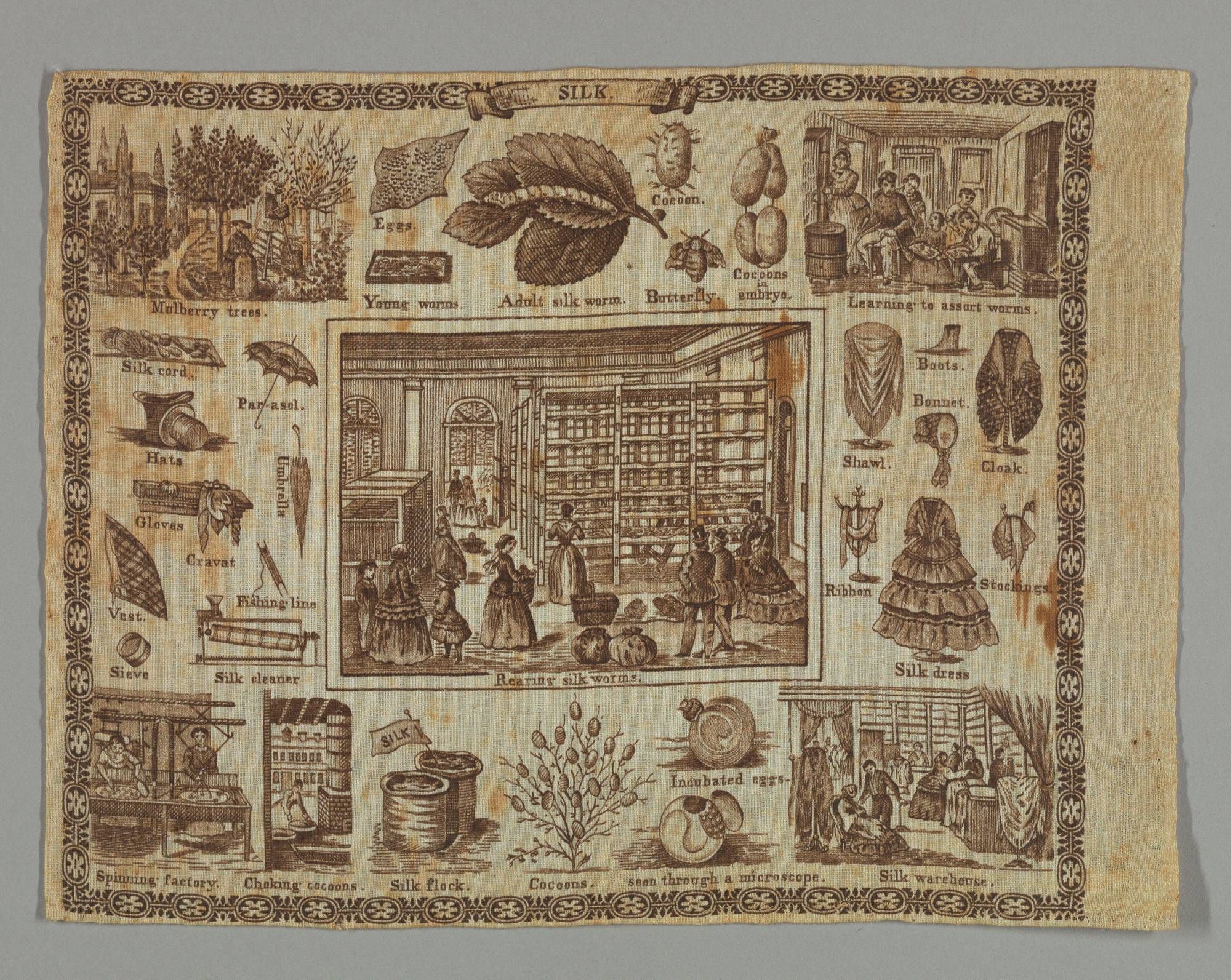Object Image