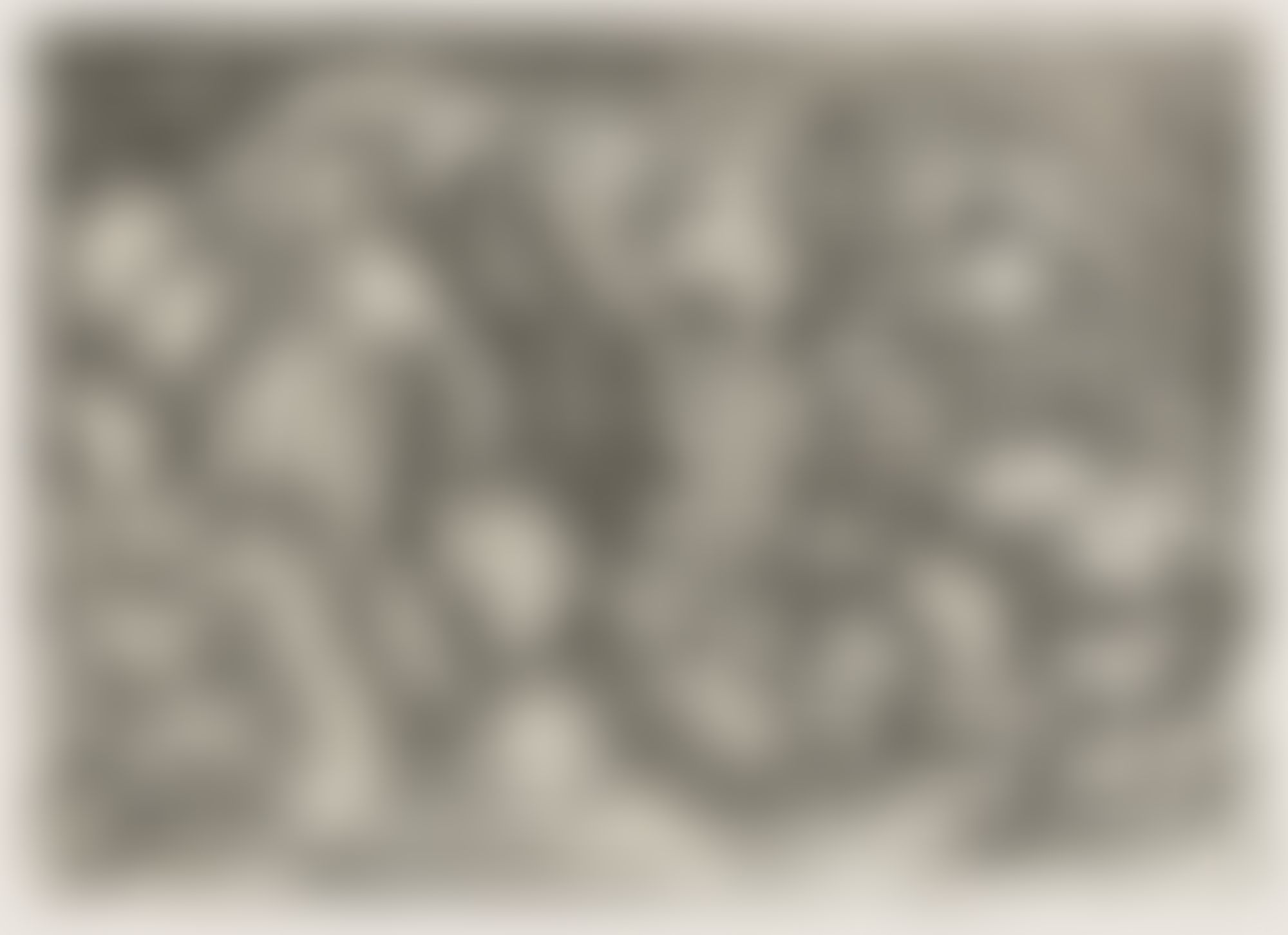 Object Image