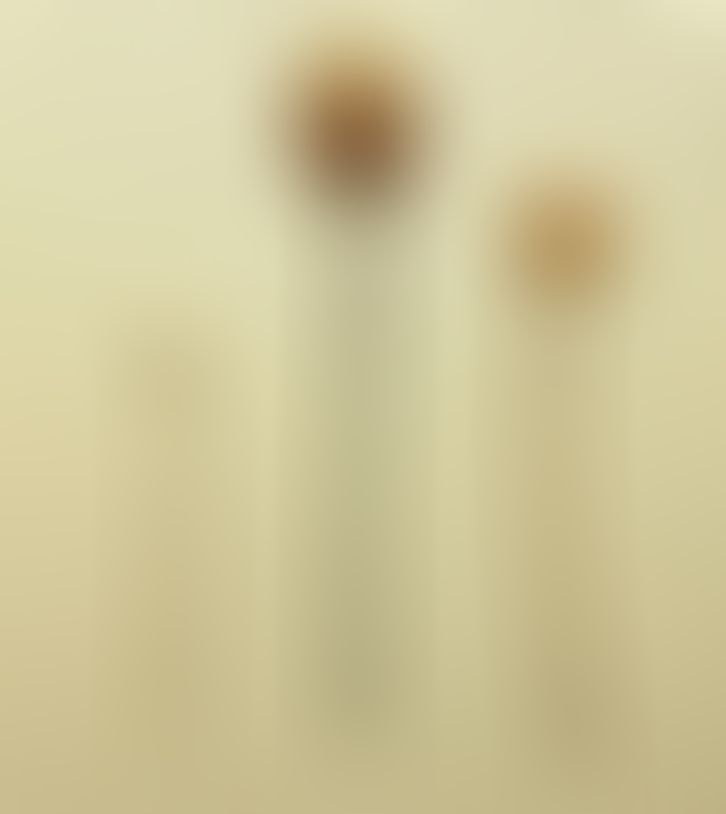 Object Image