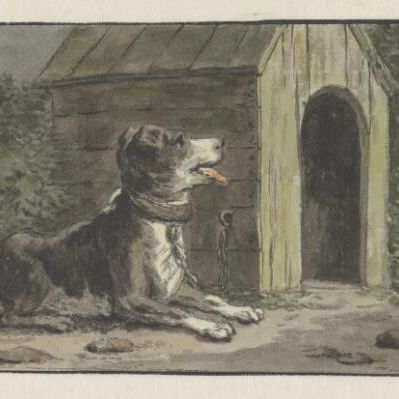 Liggende waakhond bij hok