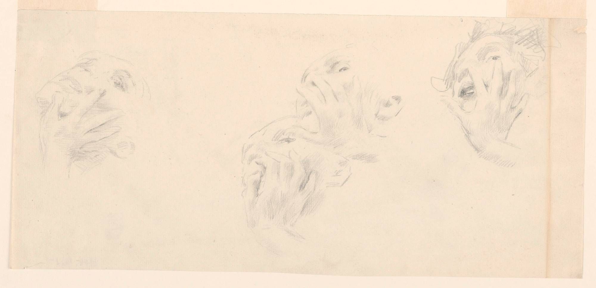 Object Image