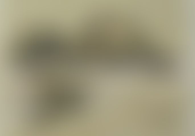 Object Image