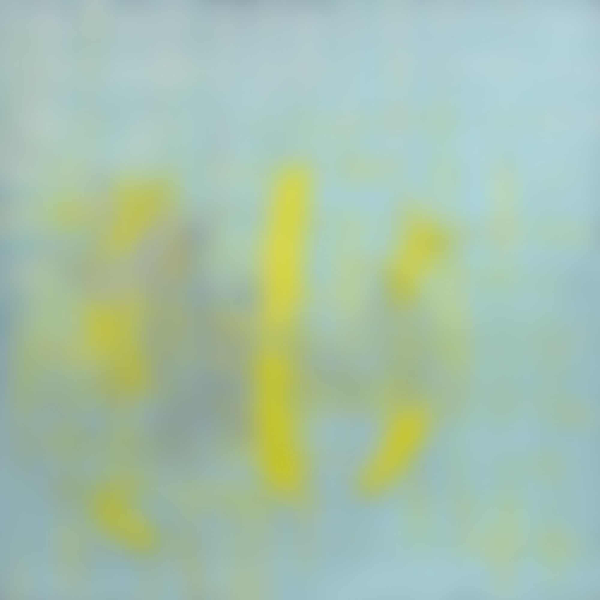 Object Image