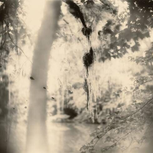 Deep South, Untitled (Three Drips)