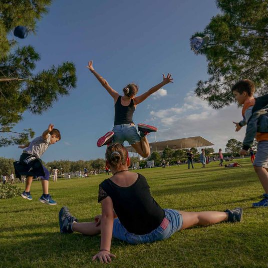 Great Lawn