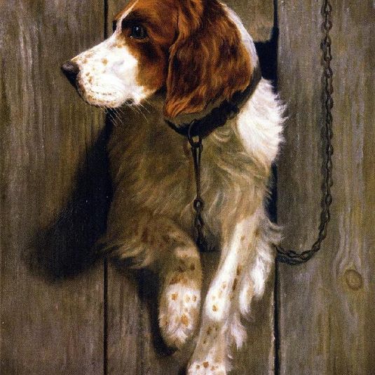 At the Kennel Door