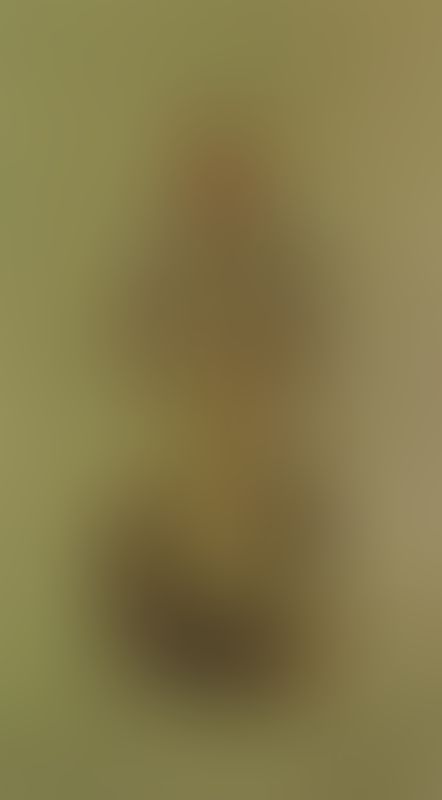 Object Image