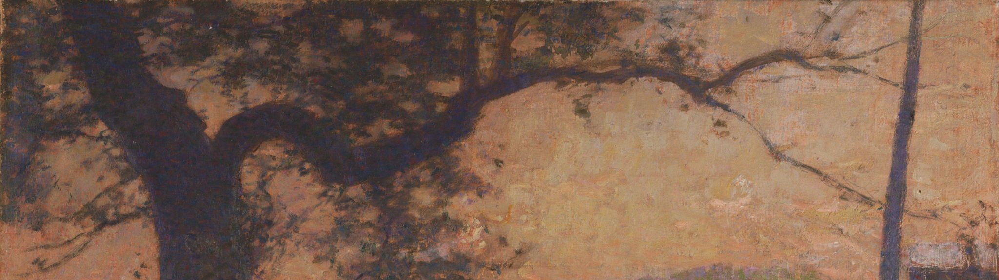 Spring Landscape
