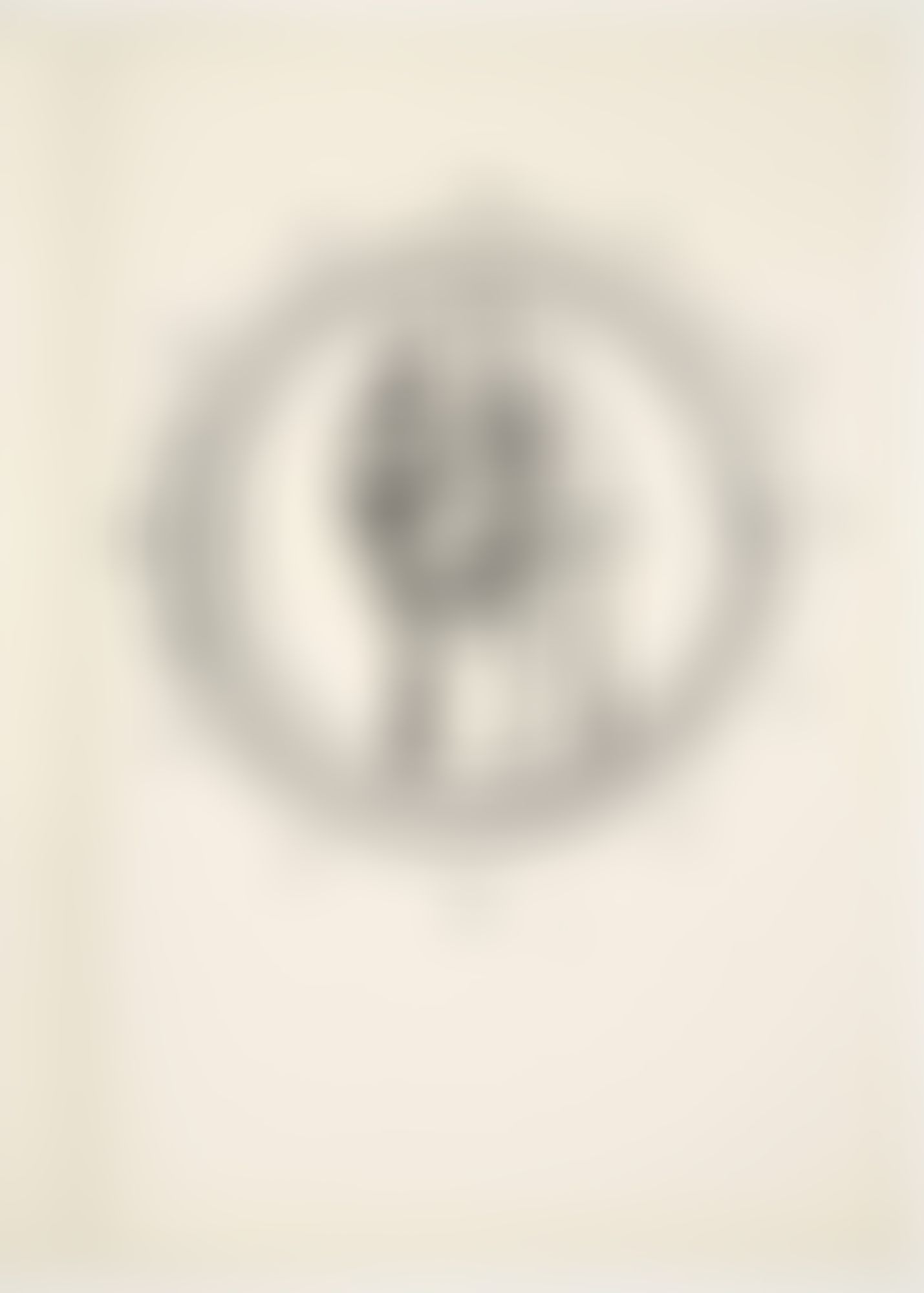 Object Image